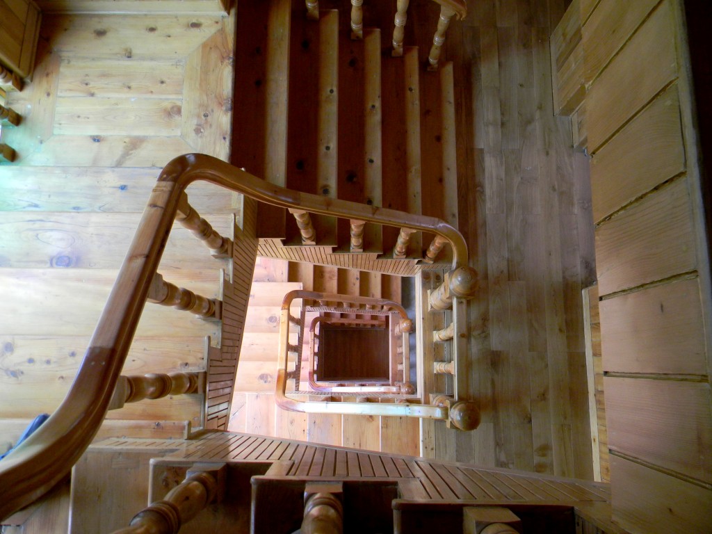 NARENDER UPPAL DHALLI