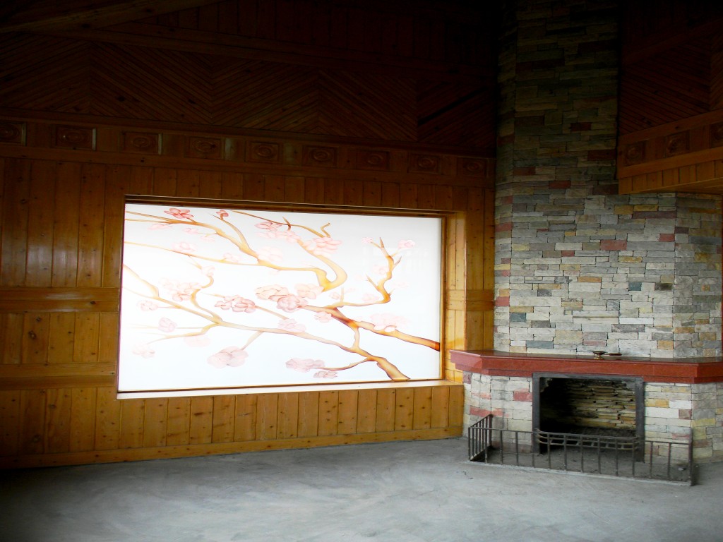 NARENDER UPPAL DHALLI