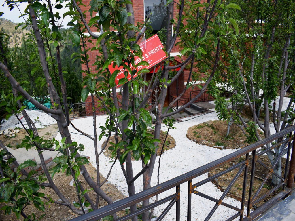 DE-EXOTICA RESORT AT THEOG SHIMLA