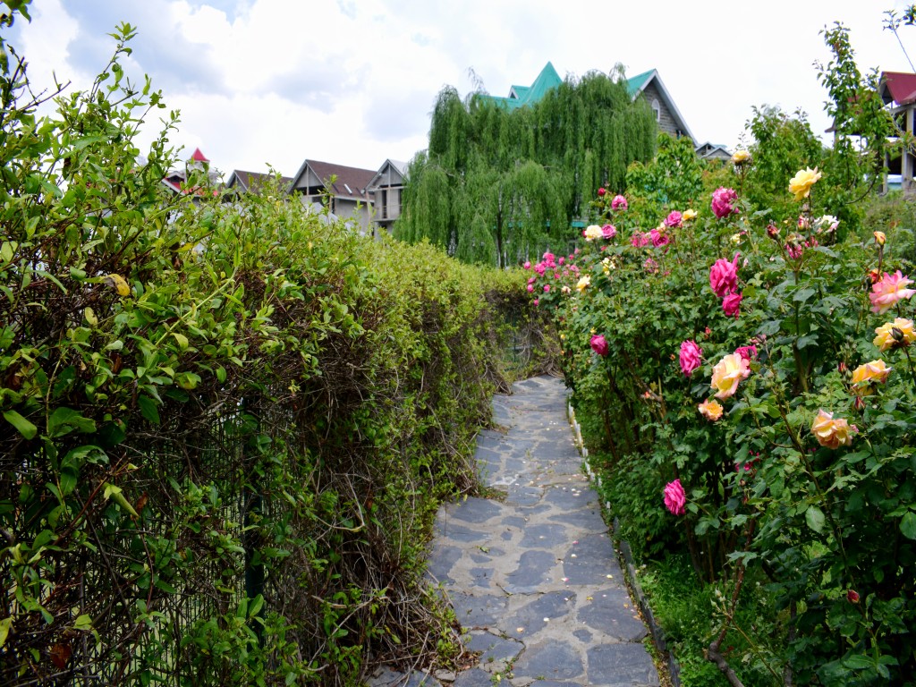 MAN PASAND COTTAGE AT PURANI KOTI, SHIMLA