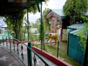 SNOW KING RESORT, KUFRI